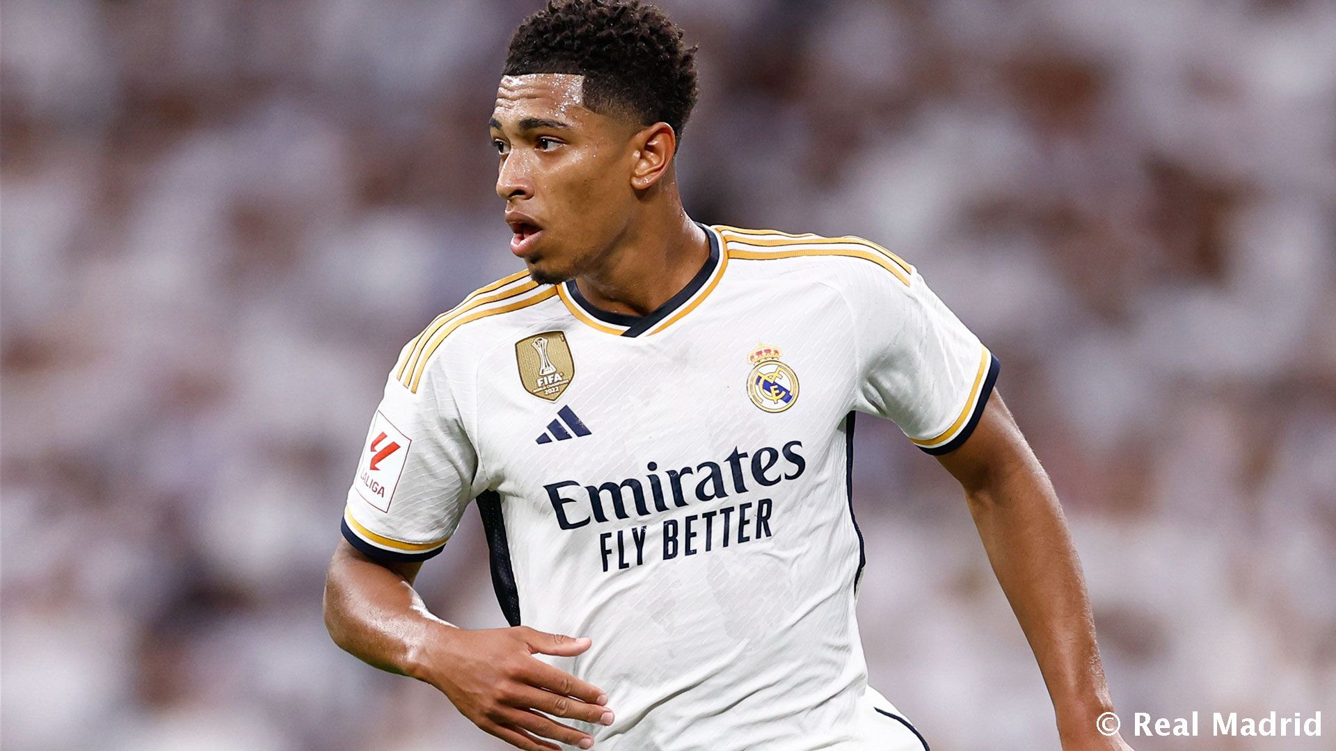 在直播平台 在直播平台